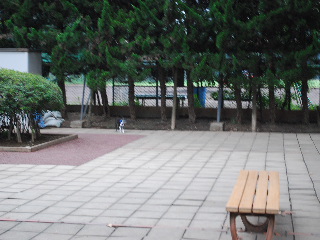 b0136300_23522738.jpg