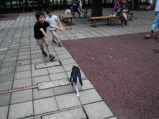 b0136300_235235.jpg