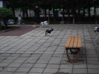 b0136300_23525451.jpg