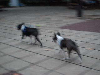 b0136300_23541339.jpg
