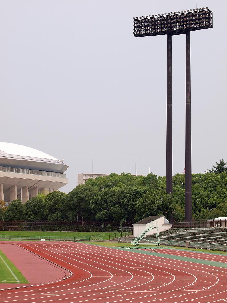 b0138101_225619.jpg