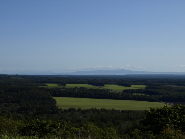 f0020302_20412467.jpg