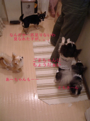 a0079803_002047.jpg