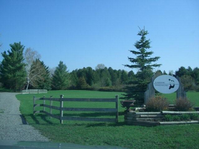 e0005603_2110541.jpg