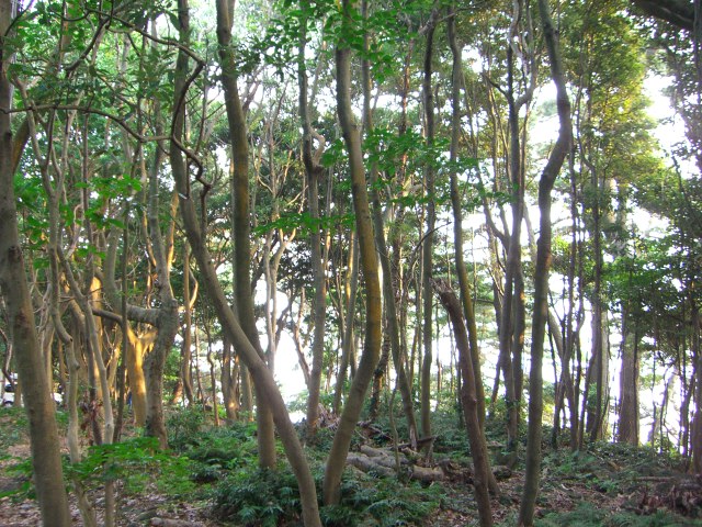 a0088007_0353040.jpg
