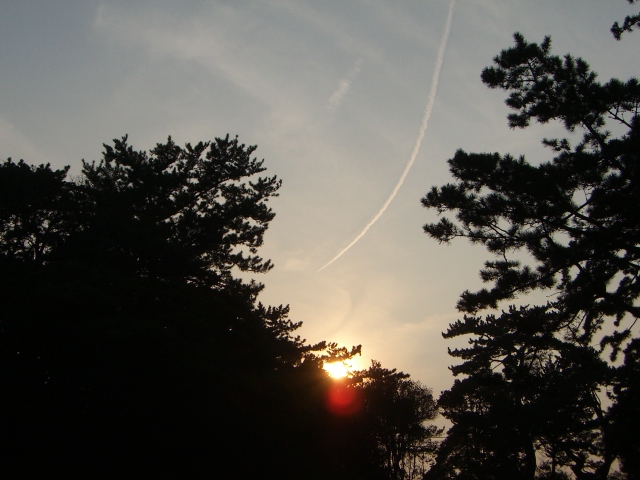 a0088007_0363994.jpg