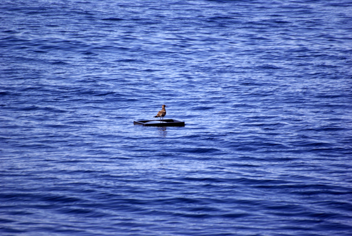 e0142611_1243663.jpg