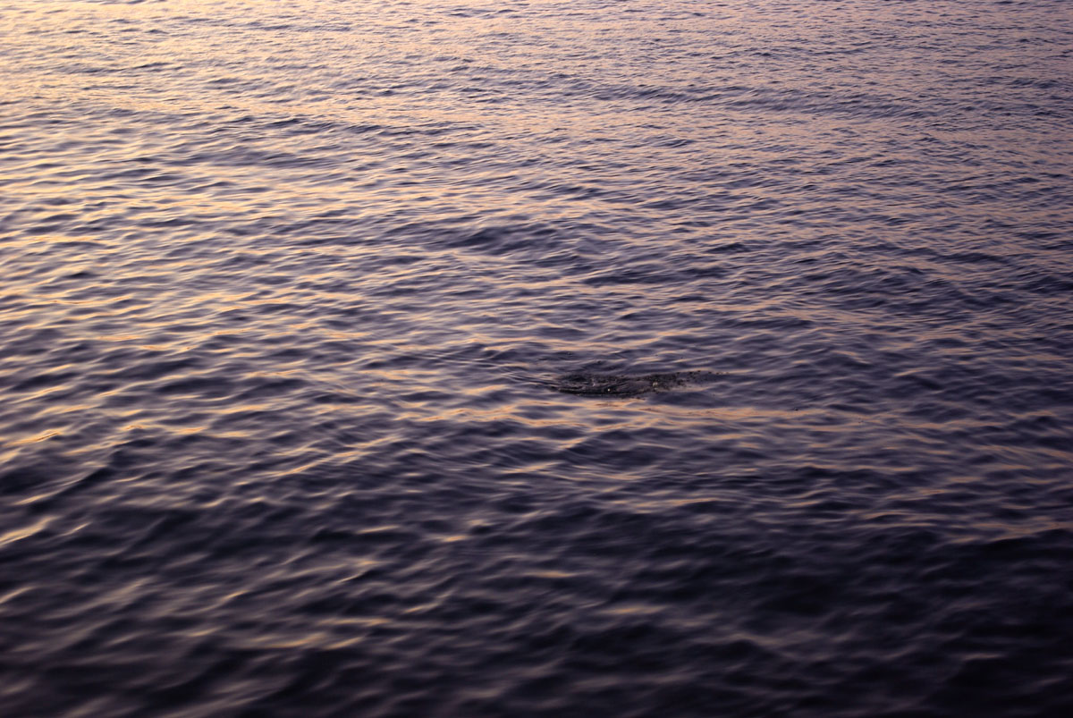 e0142611_18542314.jpg