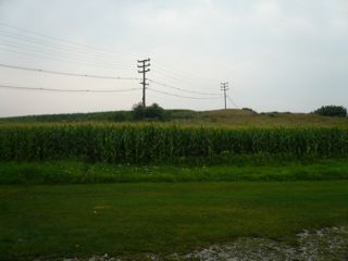 b0040413_11333686.jpg