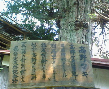 d0013816_21321171.jpg