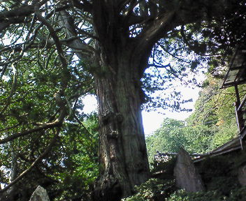 d0013816_21322825.jpg