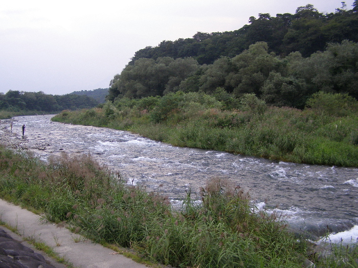 f0103126_20103675.jpg