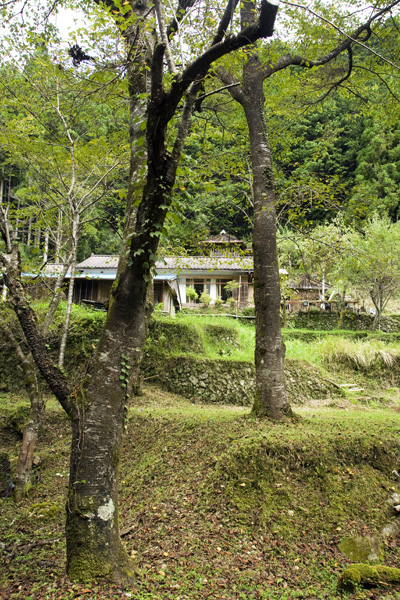 d0147530_6421972.jpg