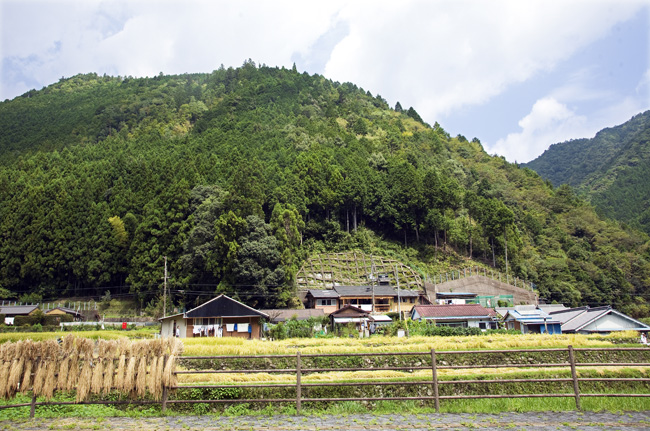 d0147530_642345.jpg