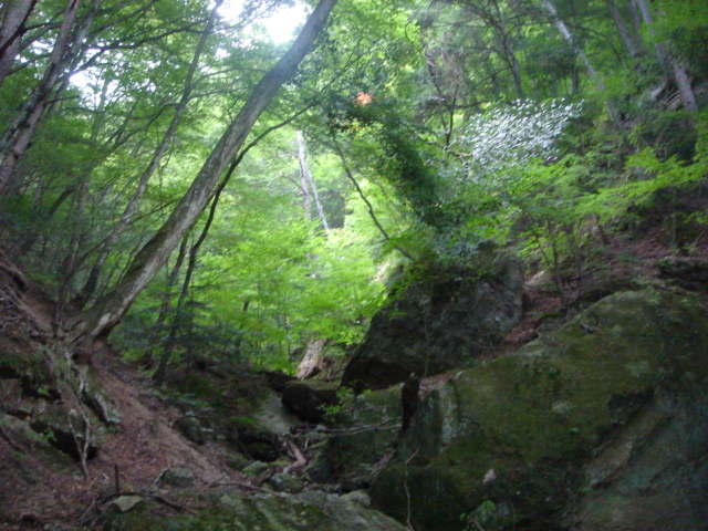 e0120131_14412893.jpg