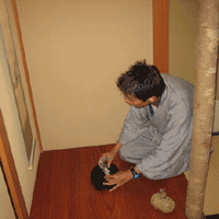 d0033734_10322824.gif