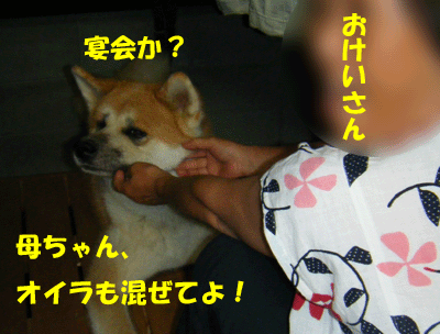 f0008935_12523014.gif