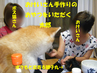 f0008935_12531949.gif