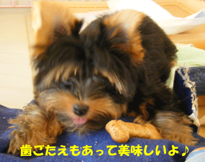 f0008935_12545750.gif