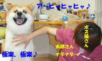 f0008935_13261843.gif