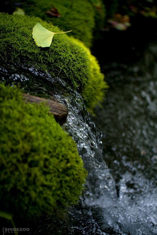 b0144437_226126.jpg