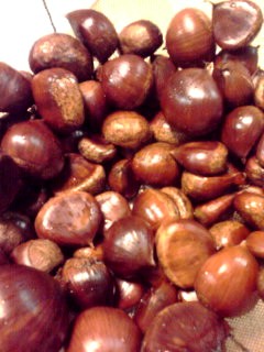 c0175339_229364.jpg