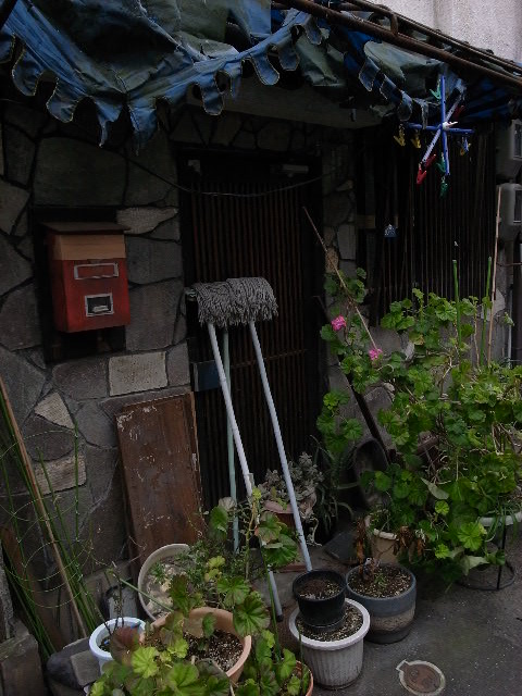 a0087341_5185320.jpg