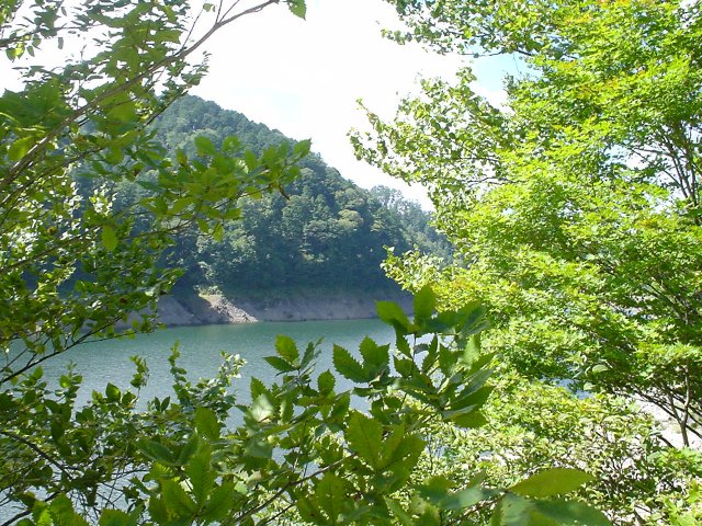 f0057944_2091992.jpg