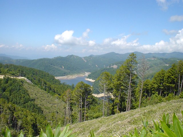 f0057944_2094419.jpg