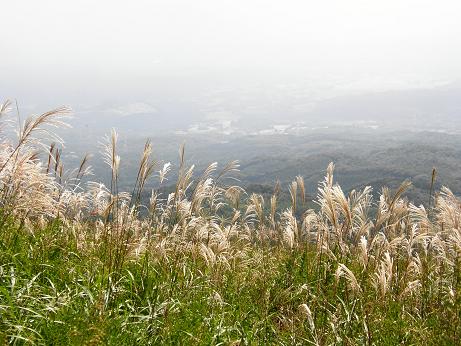 c0145250_11224524.jpg