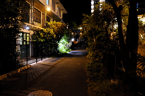e0050753_23273745.jpg