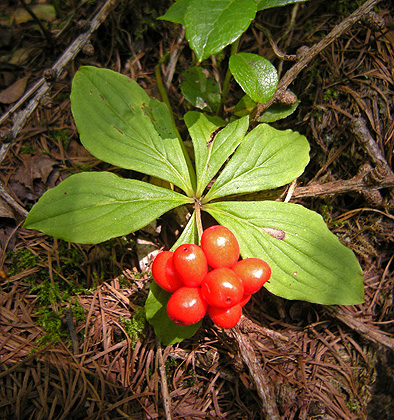 a0001354_2182644.jpg