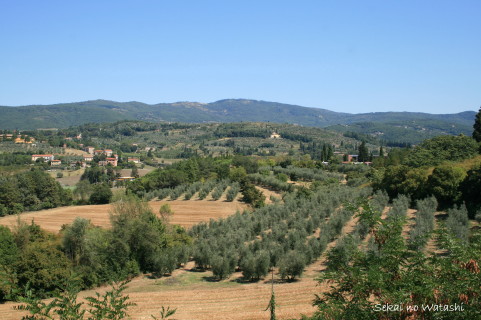 f0077159_512215.jpg