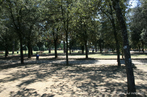 f0077159_51436.jpg