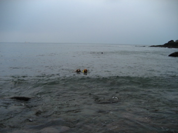 f0100660_8183975.jpg