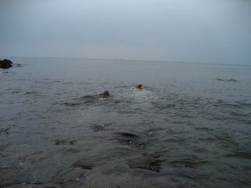 f0100660_821295.jpg