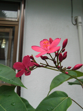 c0158464_93481.jpg
