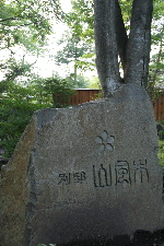 e0016164_20302336.jpg