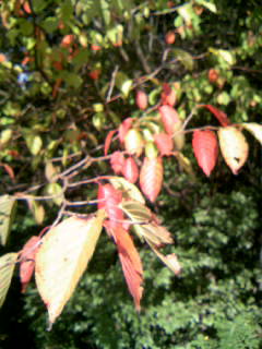 f0061067_17274.jpg
