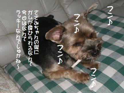a0105570_1416316.jpg