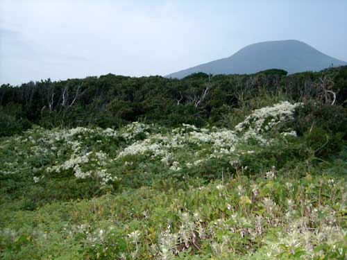 e0097770_125142.jpg