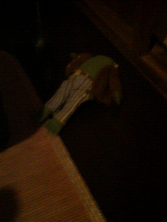 c0162773_1418169.jpg