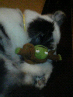 c0162773_1427450.jpg