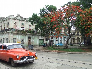 b0131774_11584565.jpg
