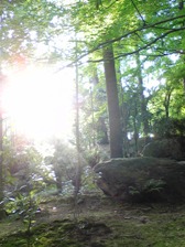 c0102375_375410.jpg