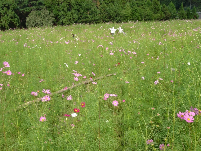 a0004180_20361251.jpg