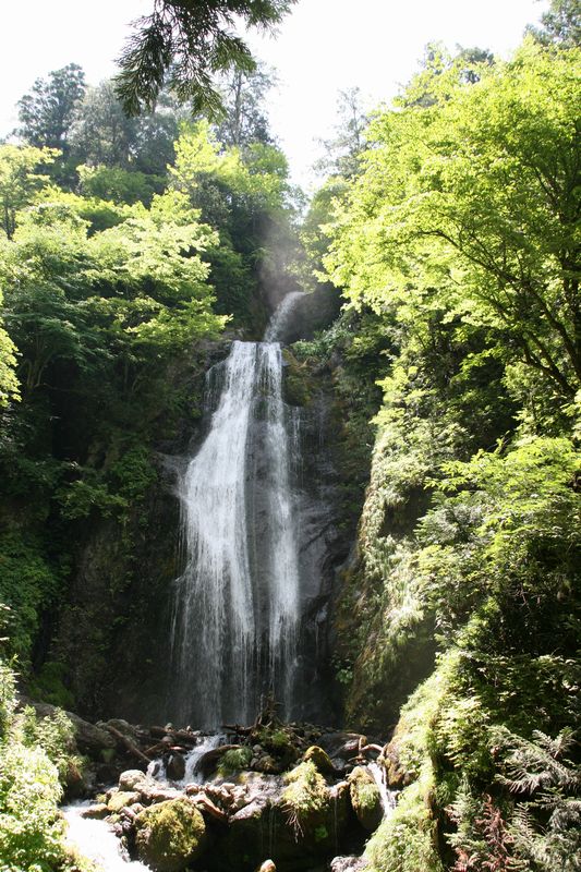 c0148781_2139232.jpg