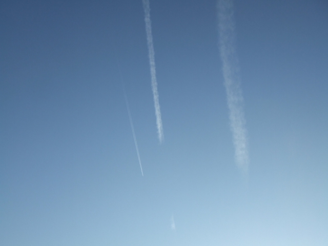 f0005081_2122304.jpg