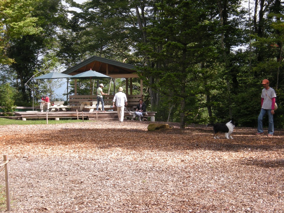 d0152083_22141592.jpg