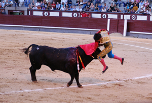 d0098792_23231992.jpg